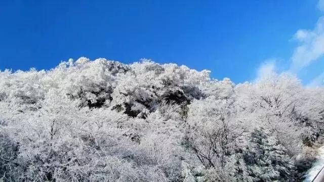 全市新雪季工作部署会议召开
