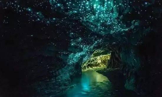 救援紫色生物