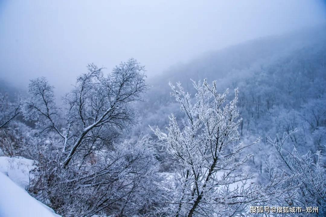 救援水管工