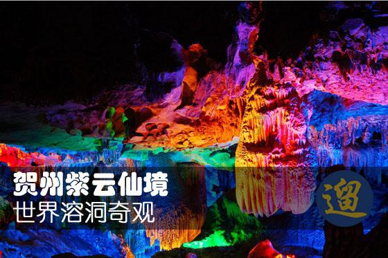 虫虫助手下载