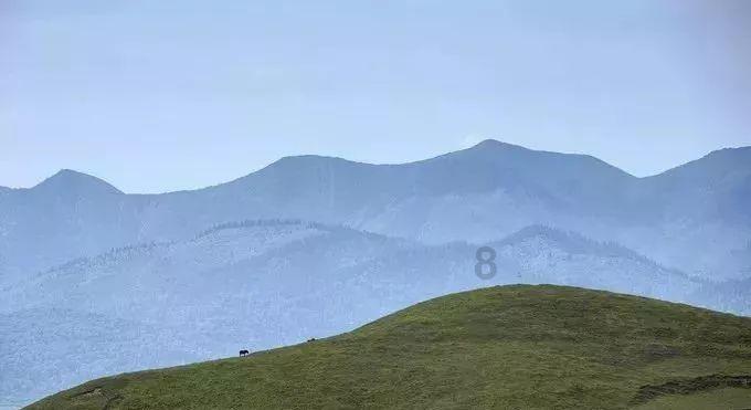 红楼梦:吃绝户、攀高枝,薛家的联姻算盘给荣府带来了毁天灭地的灾难