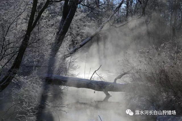 月光影视