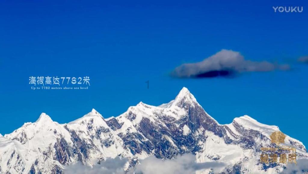迷失在荒野