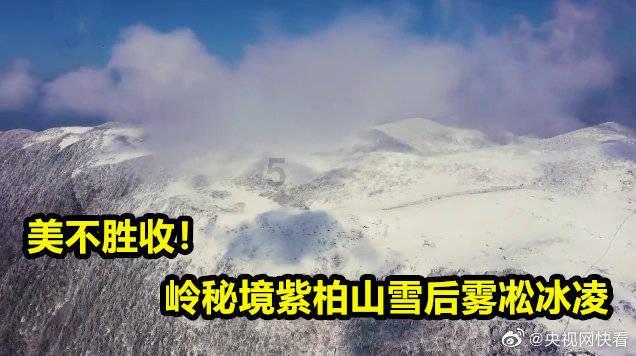 魅力男孩救援