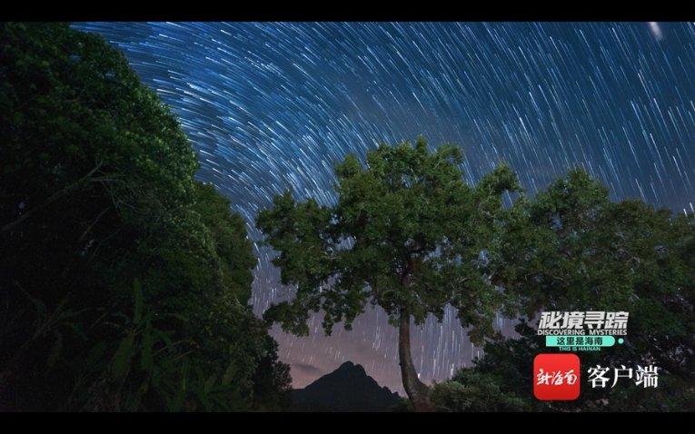 超能动物联盟