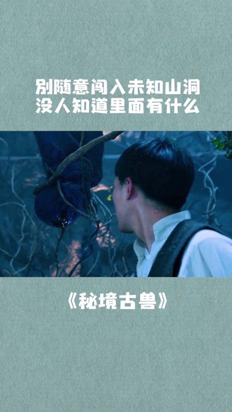 萌宠大连接
