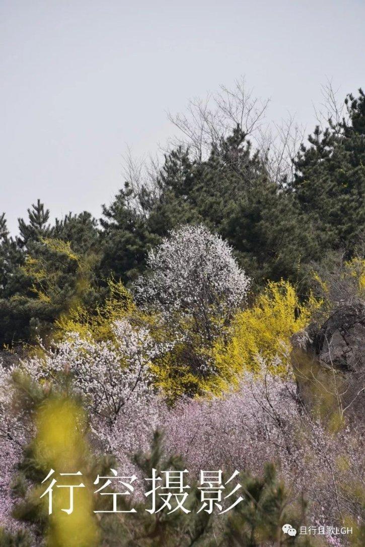 华西证券:估值水平偏高且经济存在压力容易导致美股市场回调