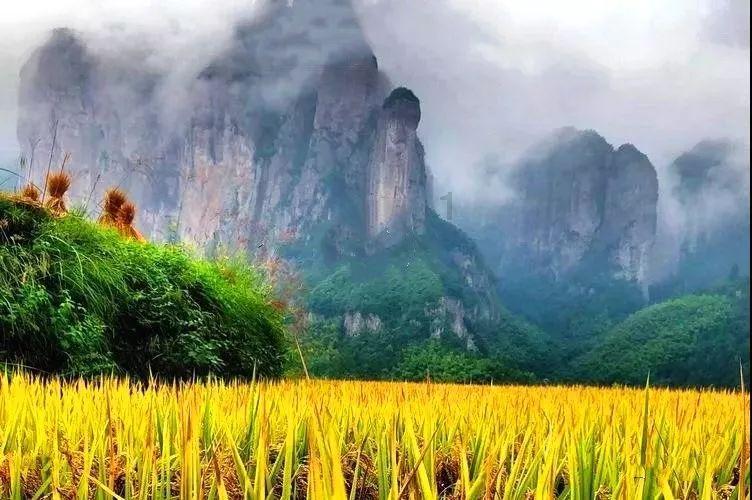 “老赖”走暗门逃走,法官坚守9小时“智擒”——