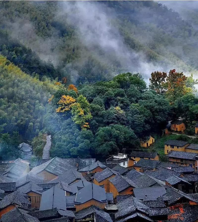 青年风采 | 王天宇:乡村振兴 青年先行 青年力量点亮好山好水
