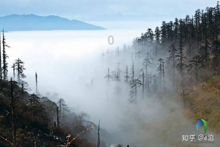 滕州举办第五届青少年儿童美术书法作品展