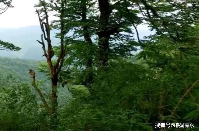 努力建成心有所栖心有所依的美好家园
