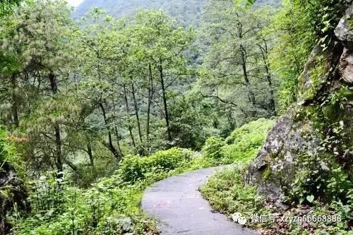 小镇惊魂