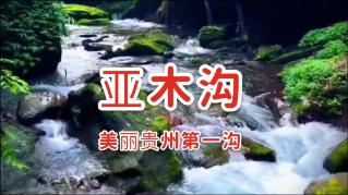 圆周率舞曲