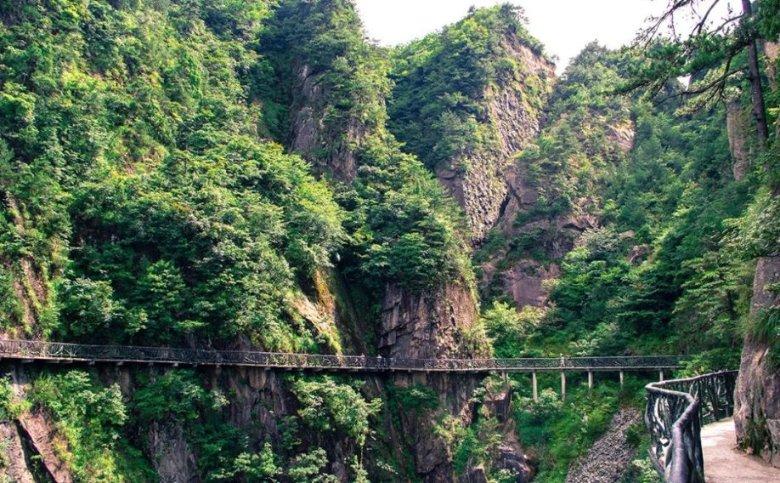 熬过医药反腐风波,迎来社保加仓、机构抢筹:重磅痛风特效药取得重大突破,或成破圈关键