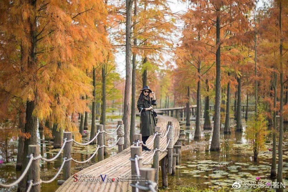 菠萝蜜催熟的最快方法是什么？游戏画面