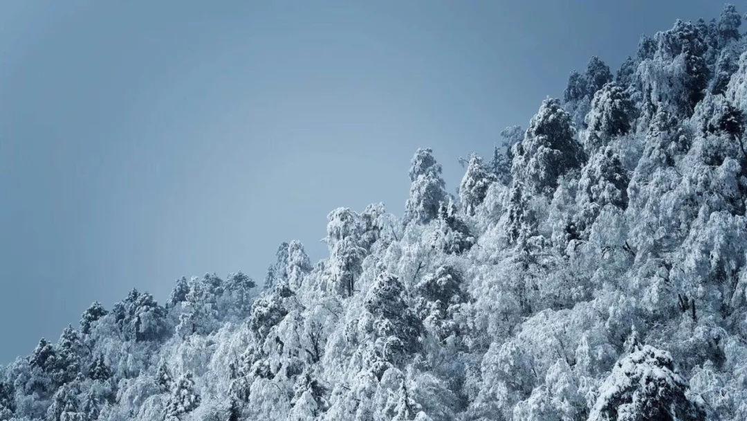 破碎的沉默