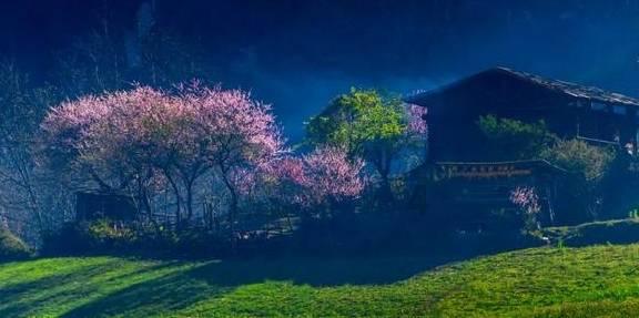 星球基地
