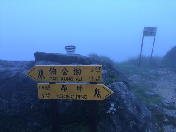 燃烧吧大脑免广告最新版