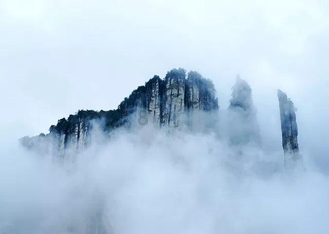 小猫钓鱼游戏龙王版有船