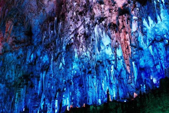 国际竹藤中心谋划推进竹藤高质量发展