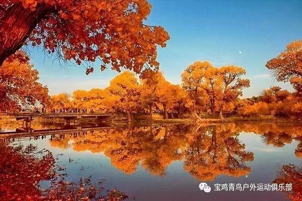 逃出比利树屋