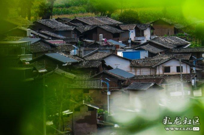 拯救精灵的土地7