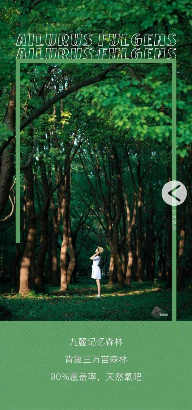 语音模块:提升智能医疗设备的操控便利性