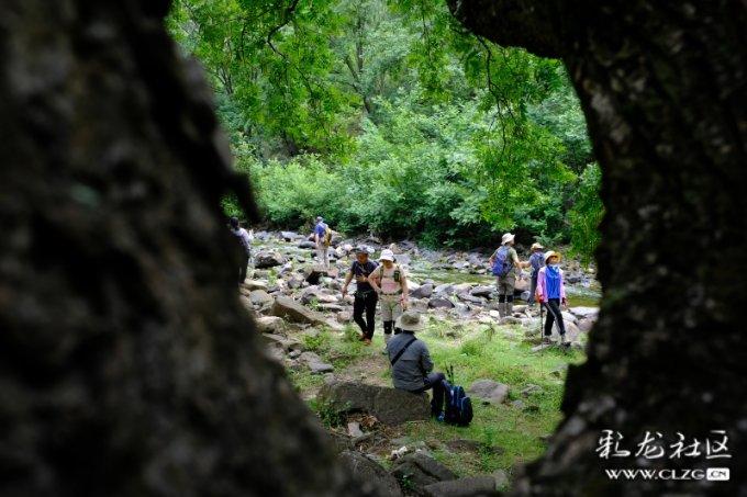 新春走基层｜一颗青菜头的“新”路历程