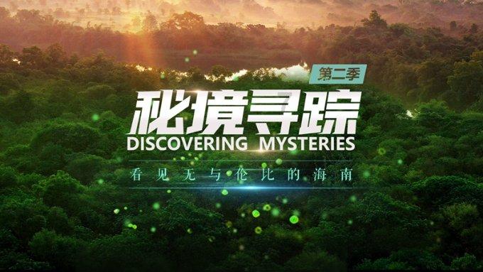 冬防进行时|青浦消防开展消防安全夜查行动(二)