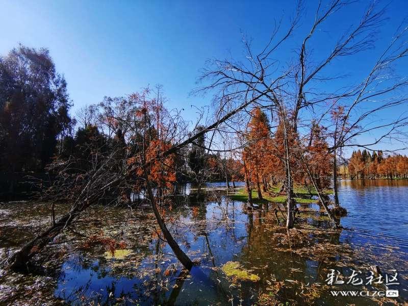 苏州打响二线城市放松限购第一枪!专家:2024年或是限购全面放松重要一年