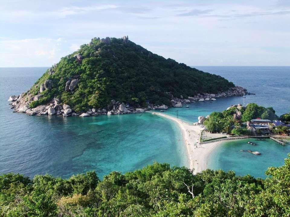 逃离大犀牛出没地