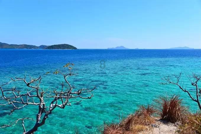 海康威视(002415.SZ)业绩快报：2023年度归母净利润141.17亿元 同比增长9.96%