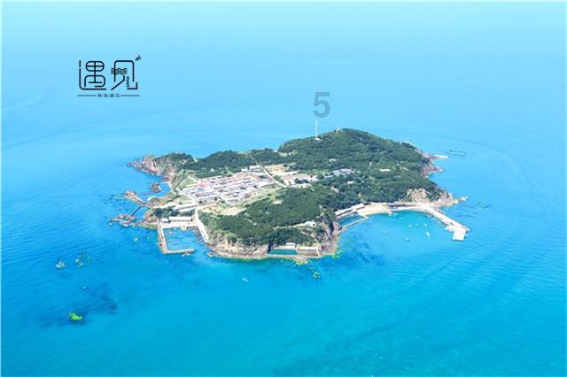 燃烧吧大脑免广告最新版