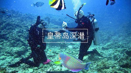 燃烧吧大脑免广告最新版