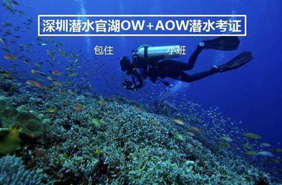 网球运动员营救