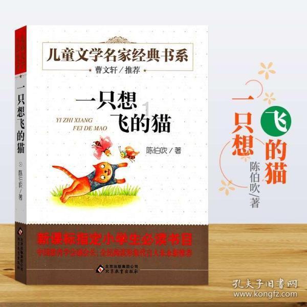 瑞雪高飞古韵悠然 酉阳迎来新年第一场雪