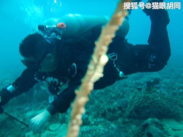 6岁娃羡慕美甲妈妈果断安排，体验2天后崩溃大哭……