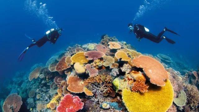 海盗寻宝记