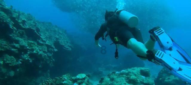 30多位足坛传奇球星山城开赛 重庆球迷直呼大饱眼福