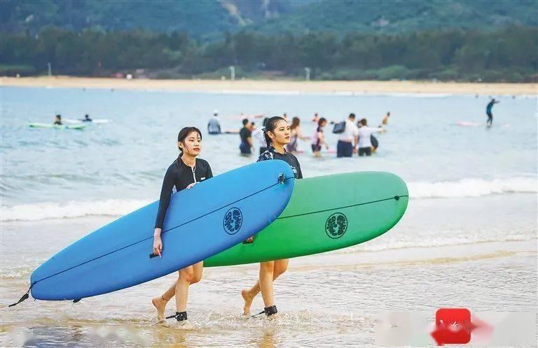 警花与警犬：太神了！美女一个指示，狗狗拨打110报警电话游戏画面