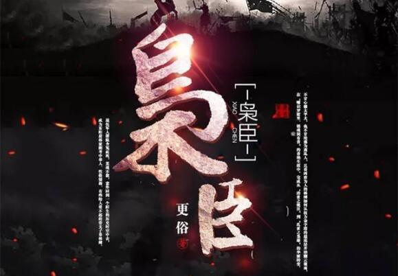 疯狂的小偷