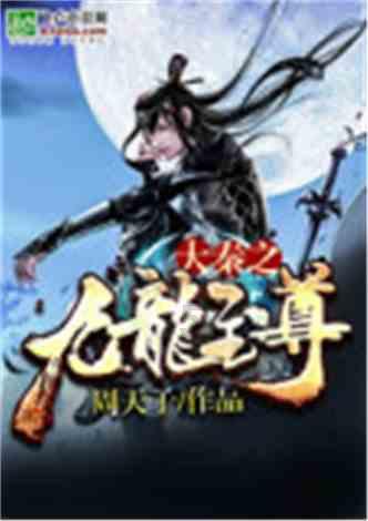 狗狗物品记忆卡