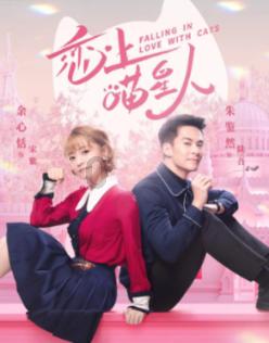 救援修女