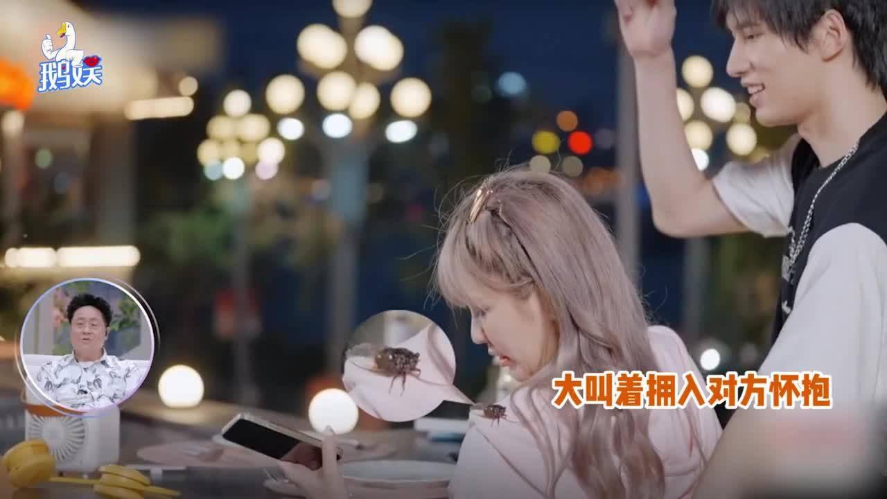 天天趣抓