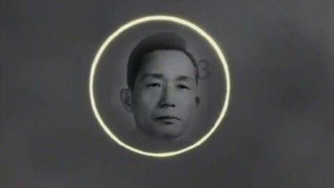 天上掉下个小猪猪
