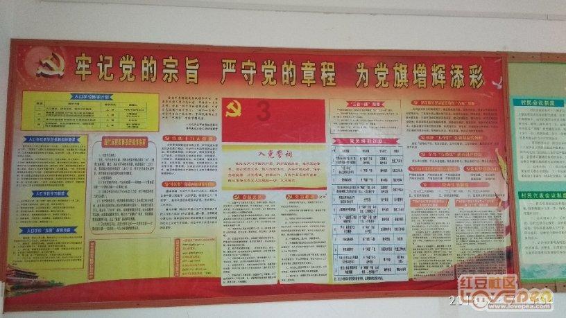 动物家园守卫战