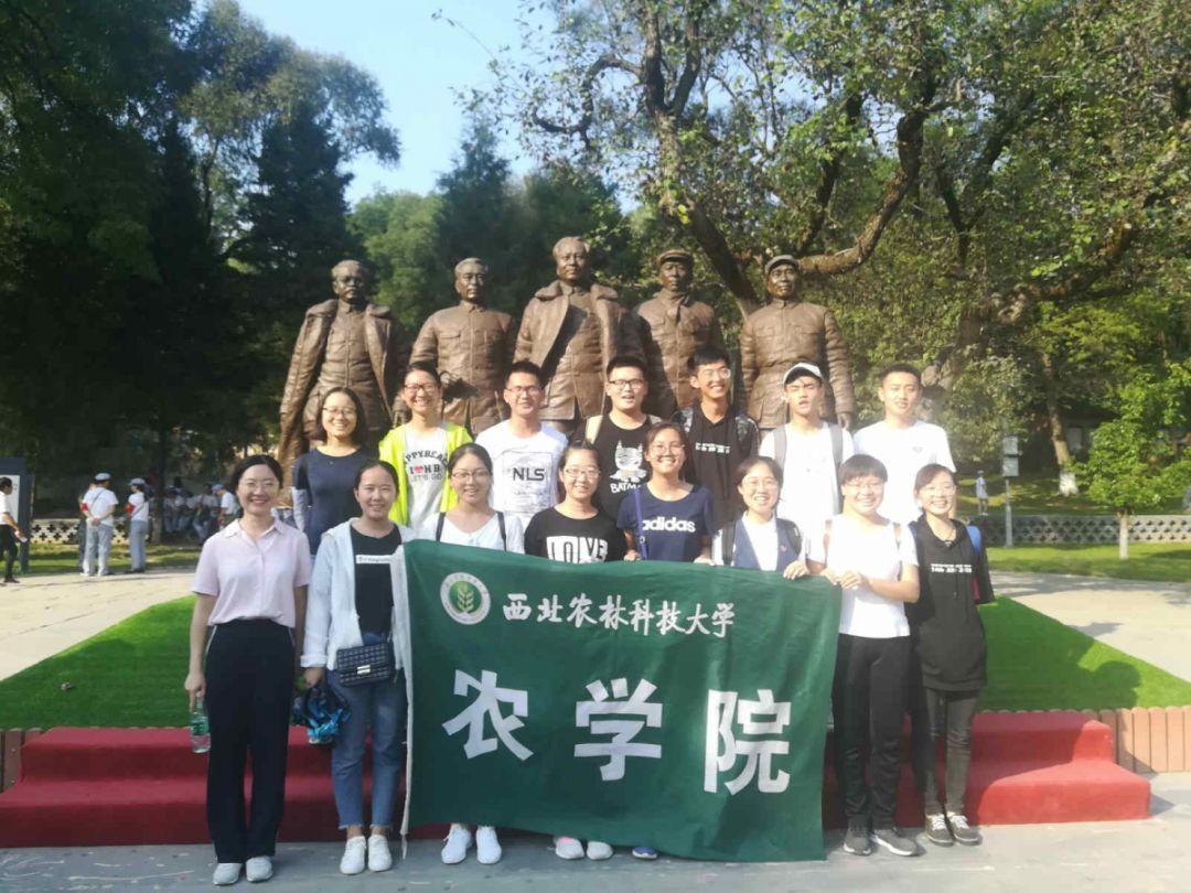 什么是水性RPT彩色路面?