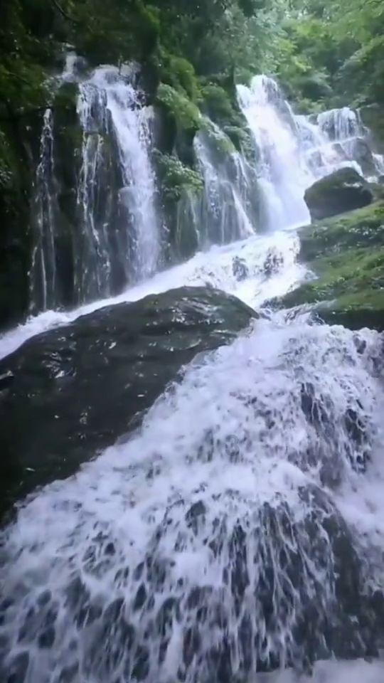 惹争议，郭德纲五十一岁大寿，岳云鹏首次没发生日快乐图文