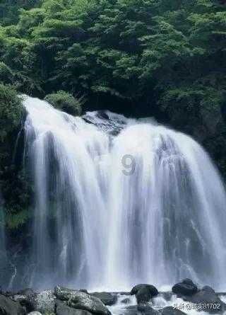 在名利场做显眼包,郑恺与魏总的响与不响