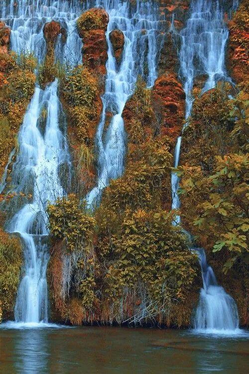 逃出奶油苹果屋
